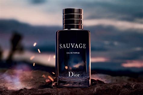 dior sauavagw|Dior Sauvage best price.